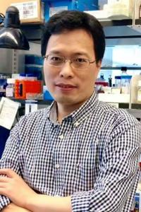 Zhenpeng Dai, PhD Profile Headshot