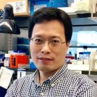 Zhenpeng Dai, PhD Profile Headshot